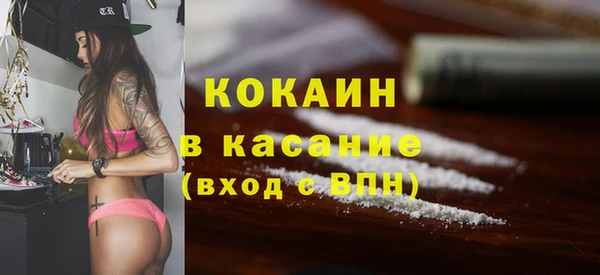 крисы Слюдянка